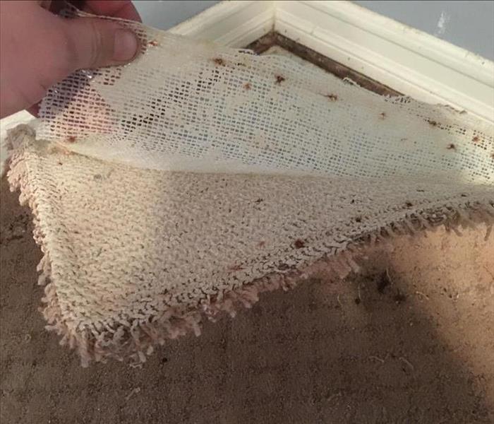 Delaminating carpet