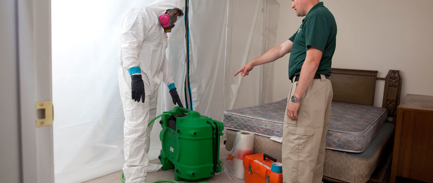 Irwindale, CA mold removal process